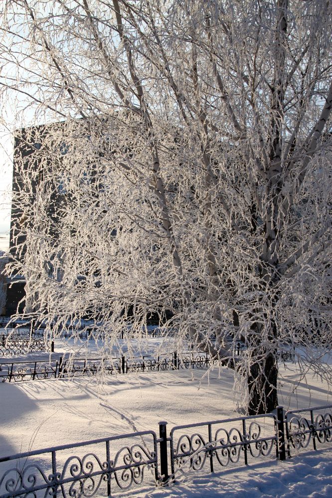 Photograph by Марина Ильева