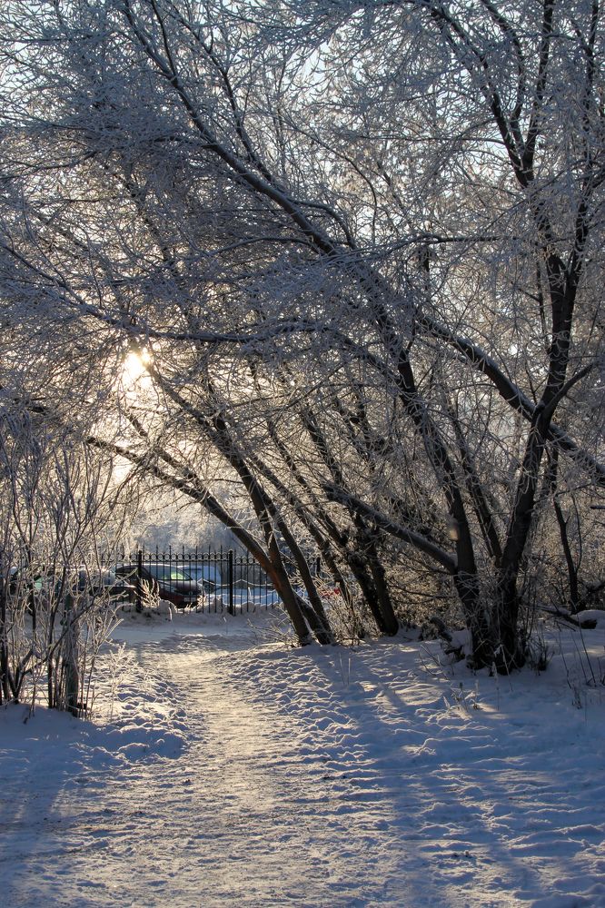 Photograph by Марина Ильева