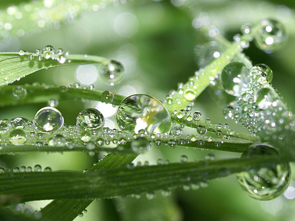 Photograph by Вячеслав Швецов