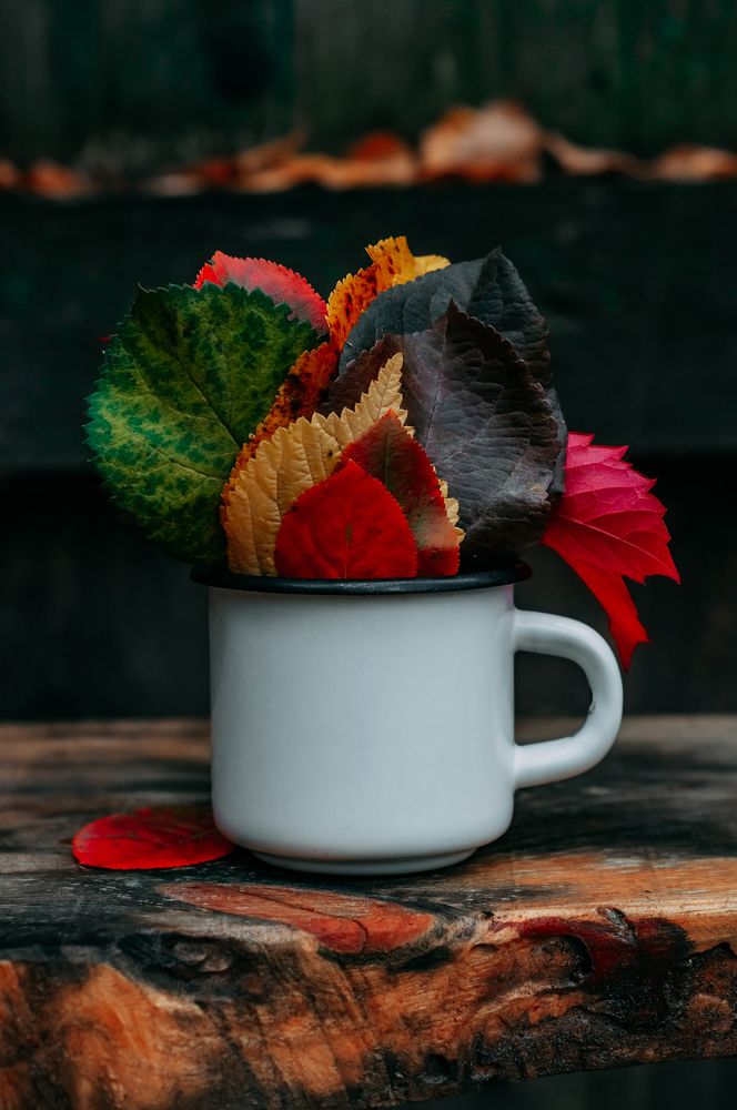 Photograph by Елена Мирзоева