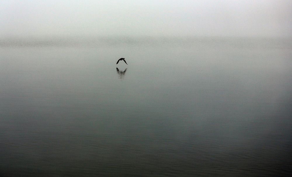 Photograph by Юрий Епифанцев