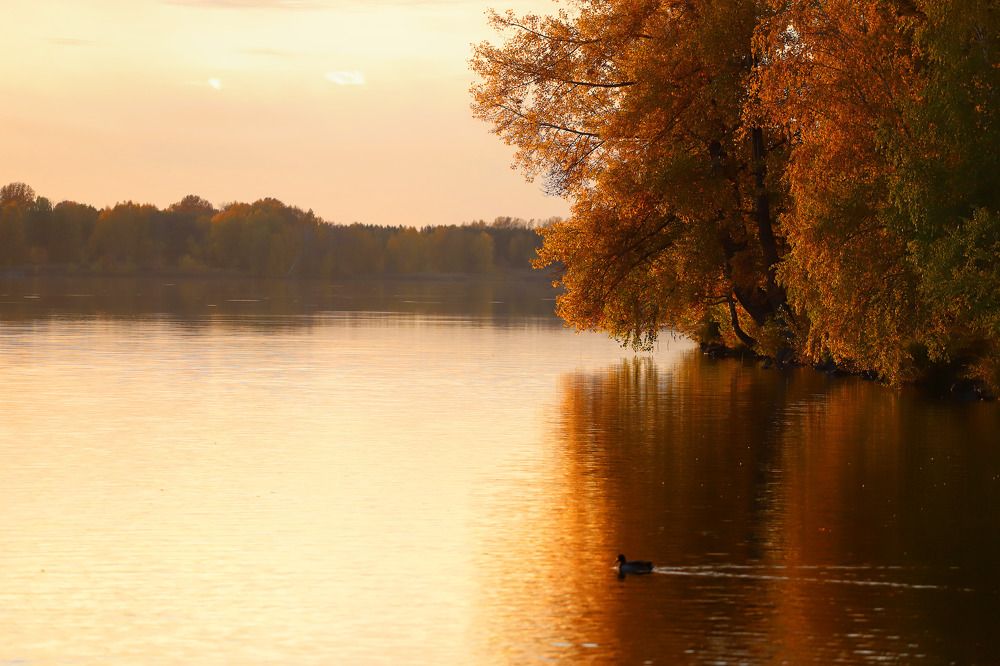 Photograph by Юрий Епифанцев