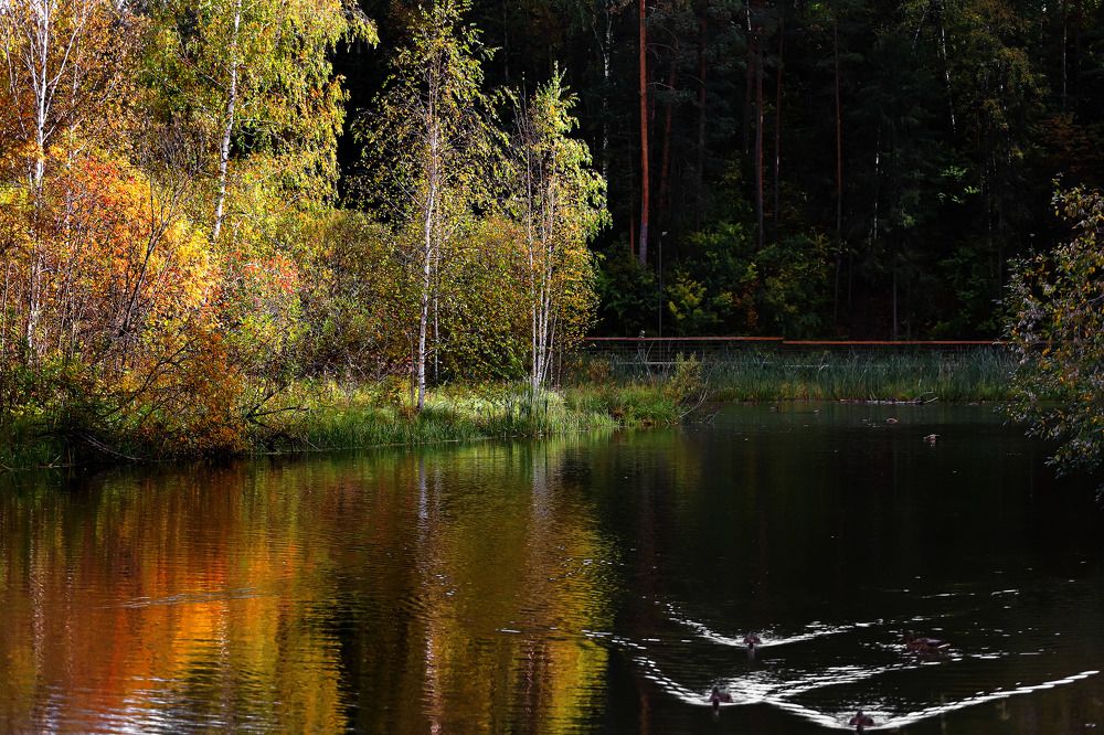 Photograph by Юрий Епифанцев