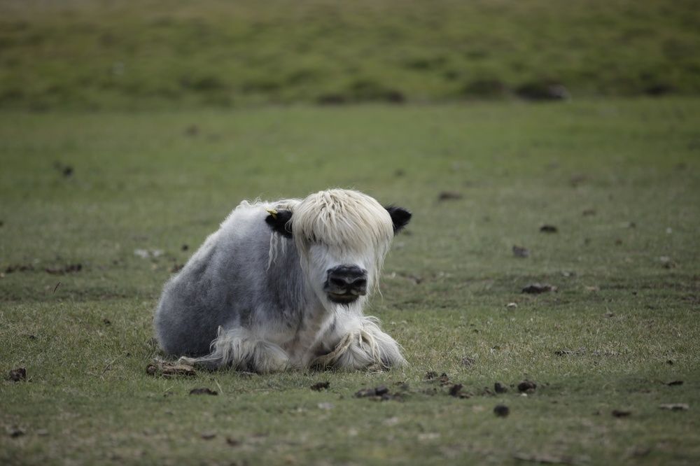 Photograph by Анна Нечаева