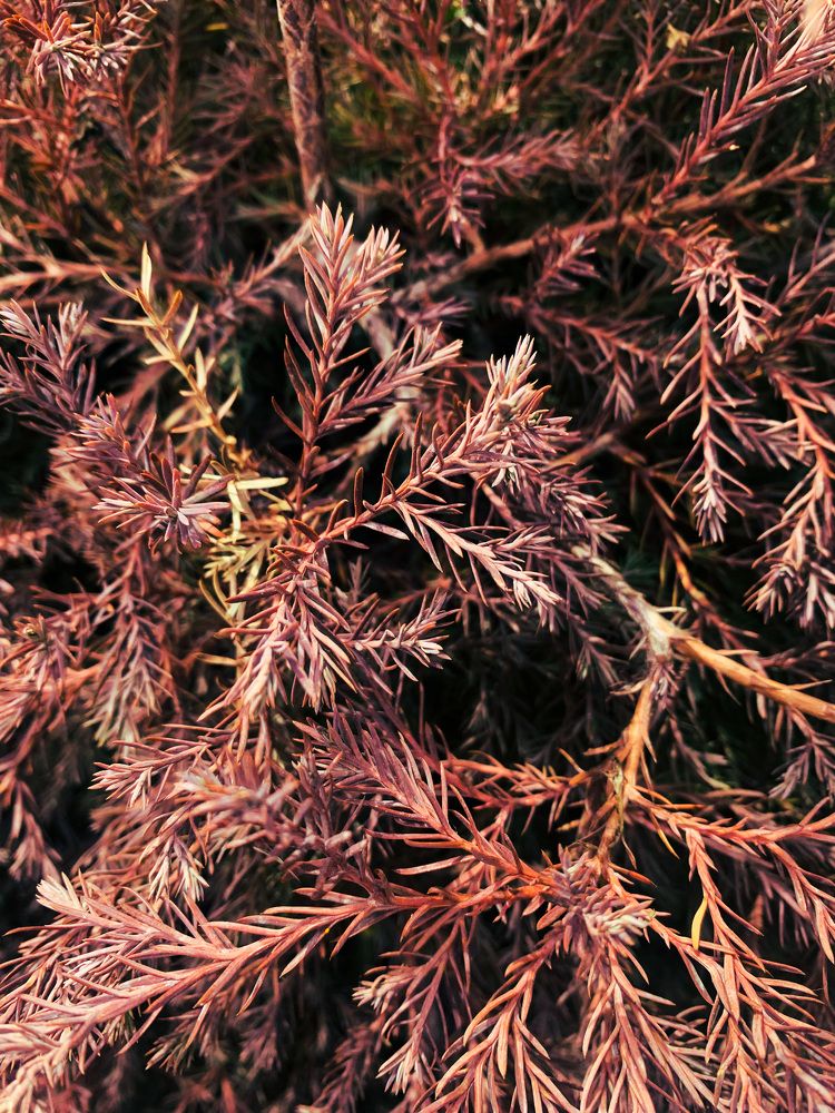 Photograph by Валерия Спирина