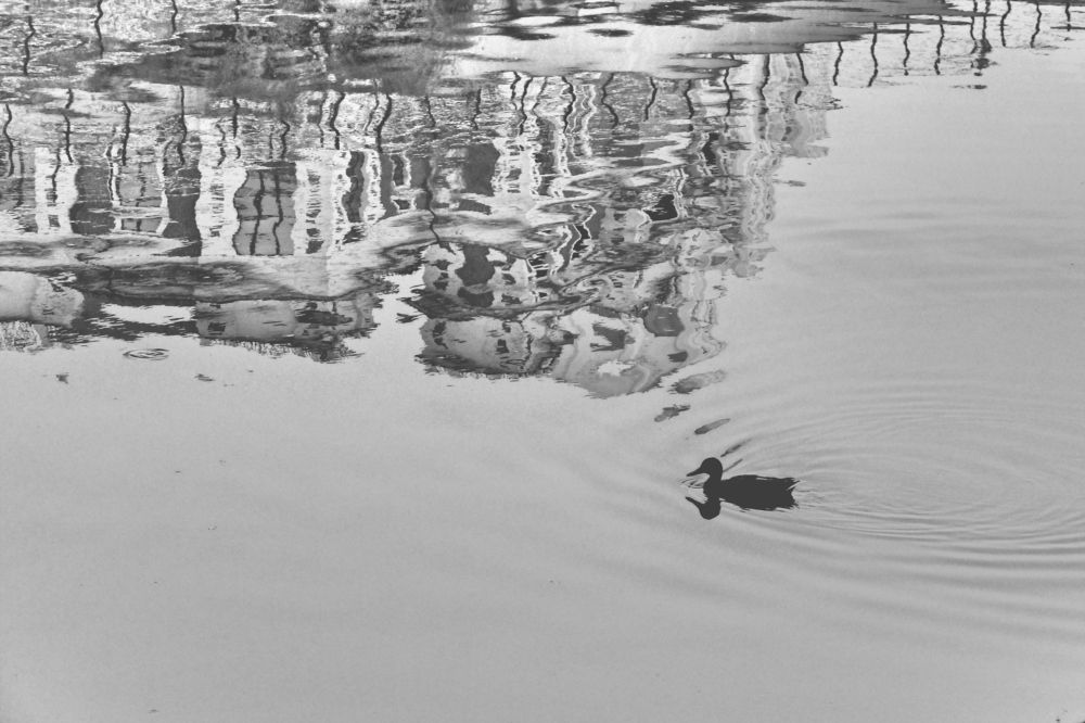 Photograph by Сергей Рябов