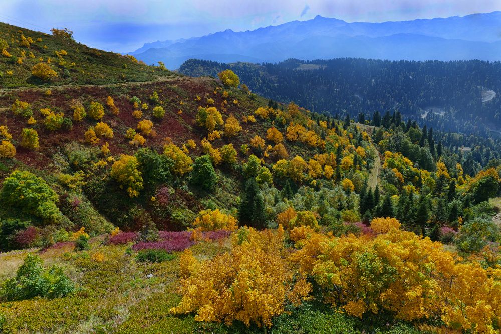 Photograph by Оксана Архипова