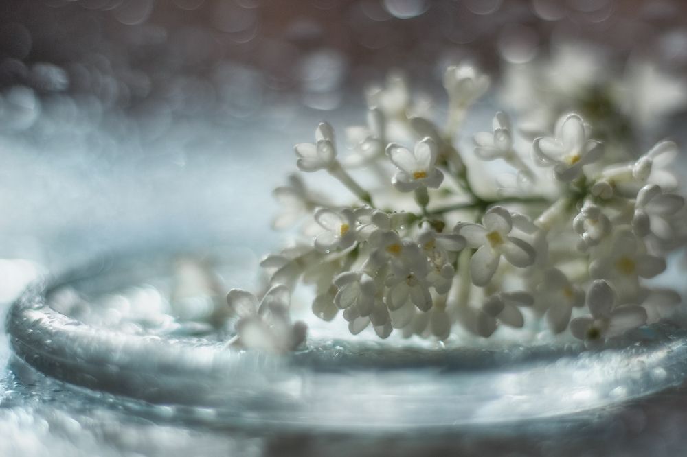 Photograph by Елена Басова