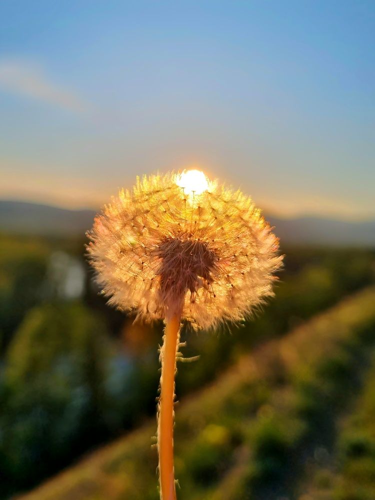 Photograph by Виктория Лобанова