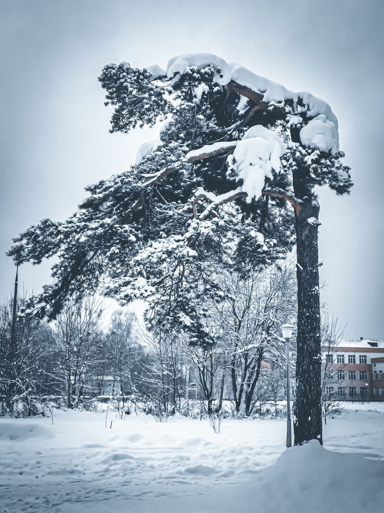 Photograph by Влад Апанасов