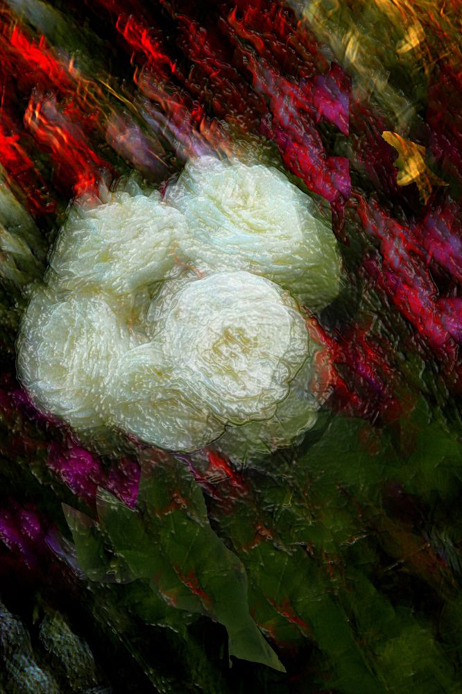 Лёд и пламень