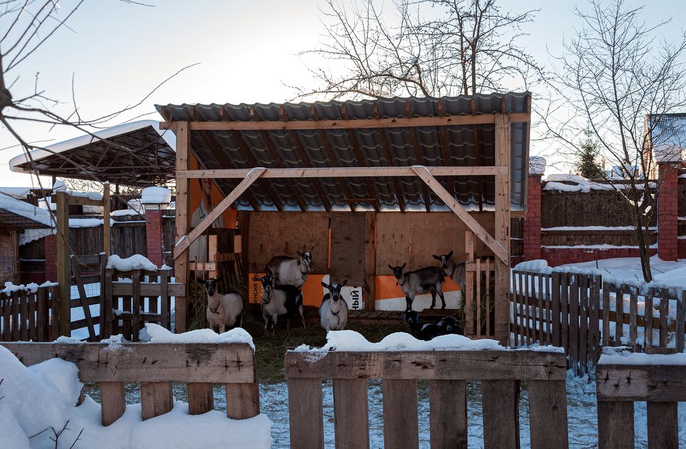 Photograph by Юлия Лис-а