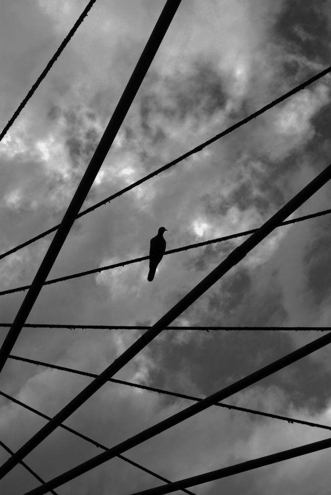 Photograph by Pablo Moreira