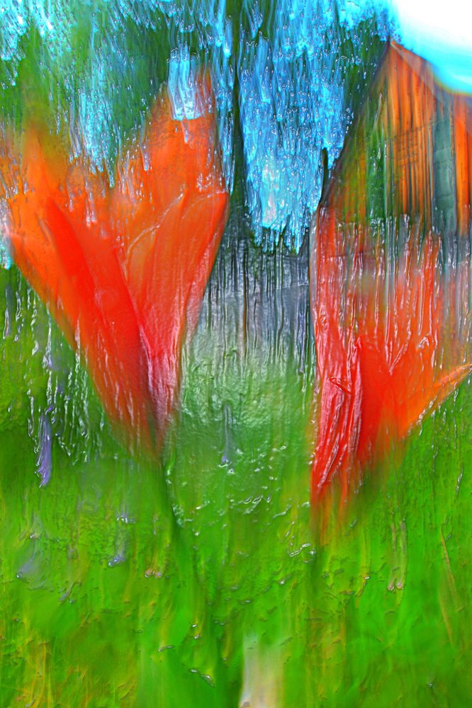 Две пламенных души