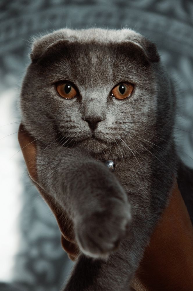 Photograph by Туяра Ходжер