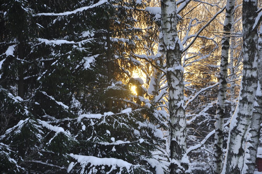 Photograph by Юлия Лис-а