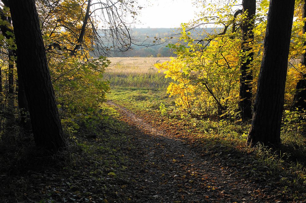 Photograph by Вячеслав Швецов