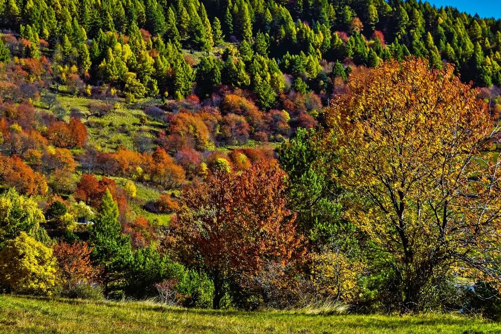 Photograph by Jozef Potocký