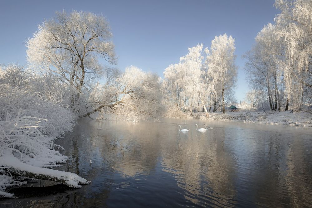 Photograph by Александр Гвоздь