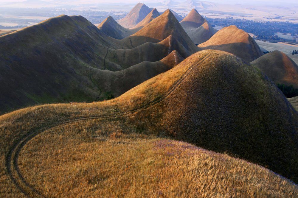Фотография автора Александр Лукин