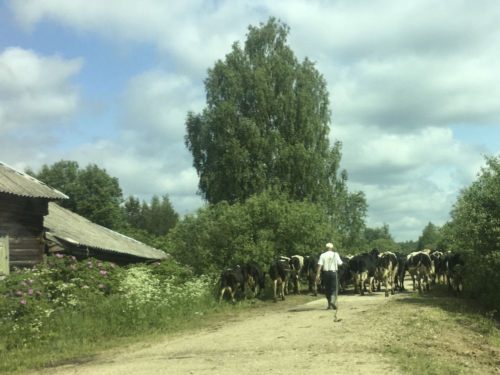 Фотография автора Ольга Горюнова