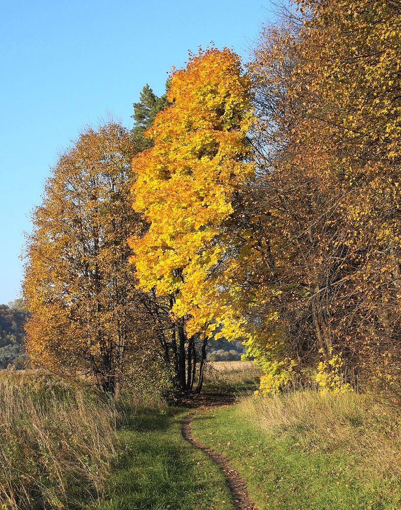 Photograph by Вячеслав Швецов