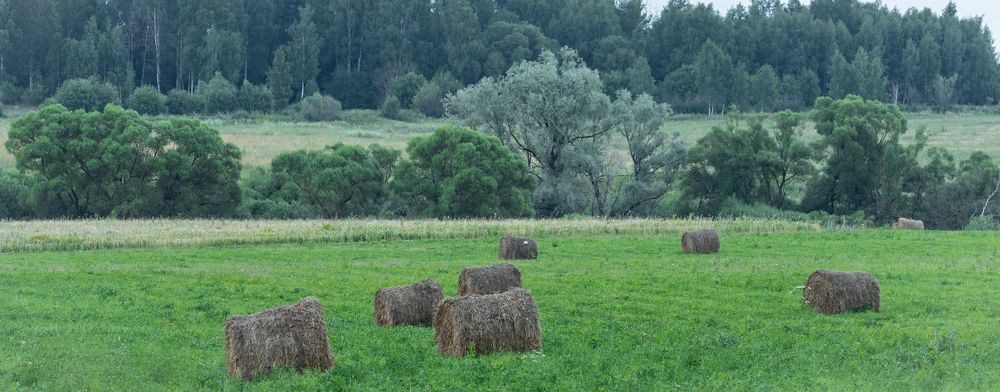 Photograph by Сергей Басов