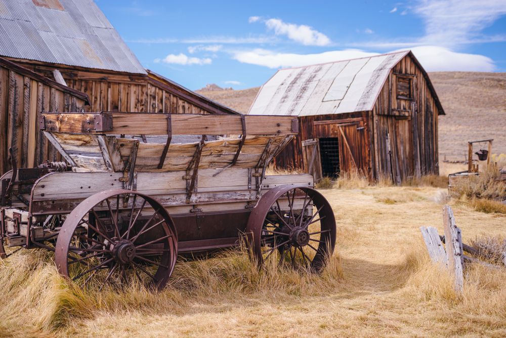 Photograph by Олег Гуляков