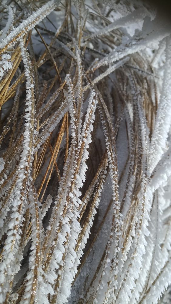 Photograph by Светлана Рухманова