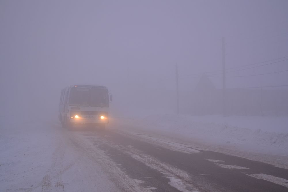 Photograph by Анастасия Гогичаишвили
