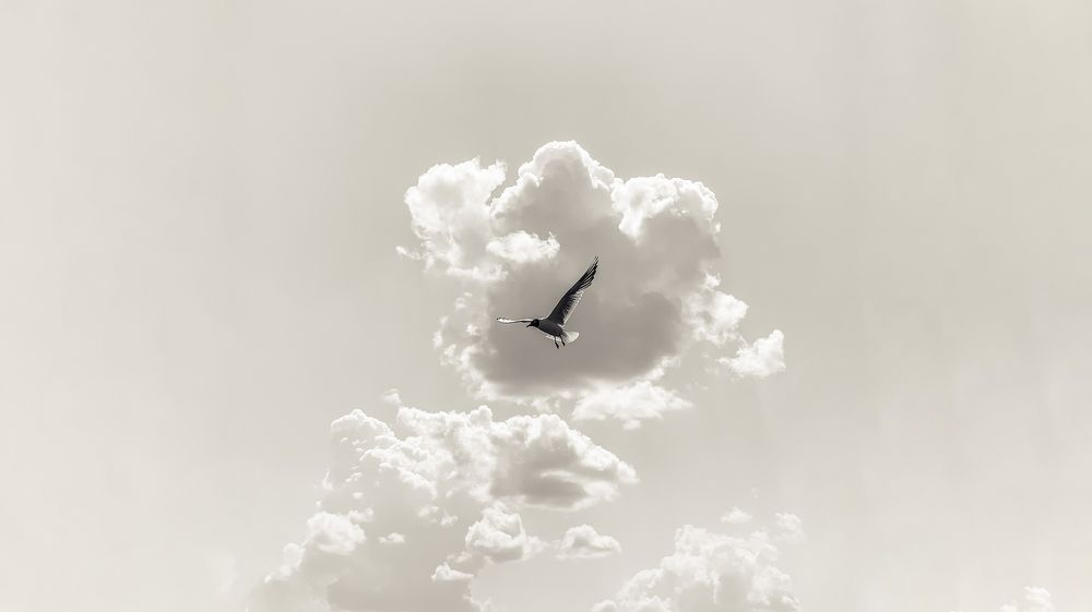 Photograph by Яна Полякова