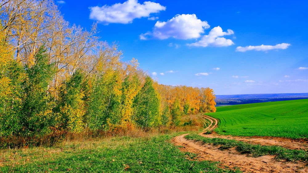 Photograph by Elena Dementova