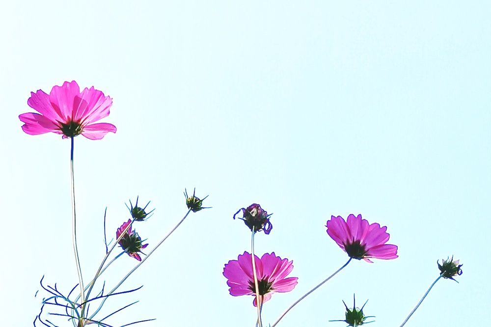 Photograph by Инна Лисовская