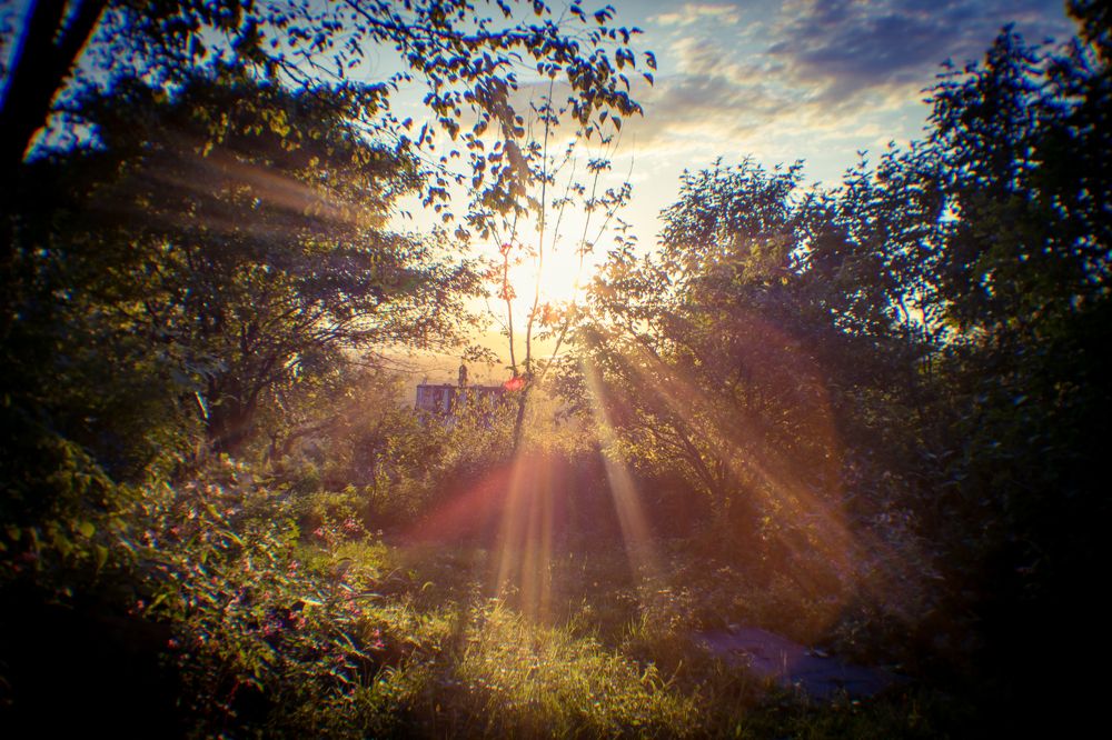 Photograph by Yana Plesakova