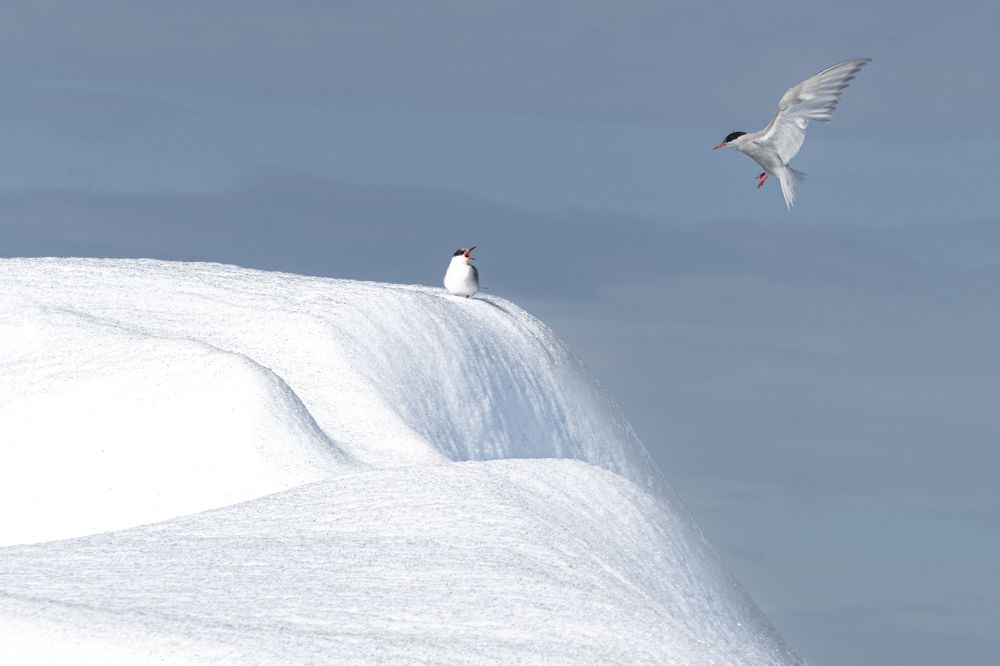 Photograph by Anuradha Agrawal