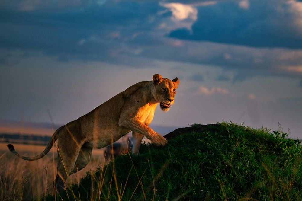 Photograph by Zubair Irshad