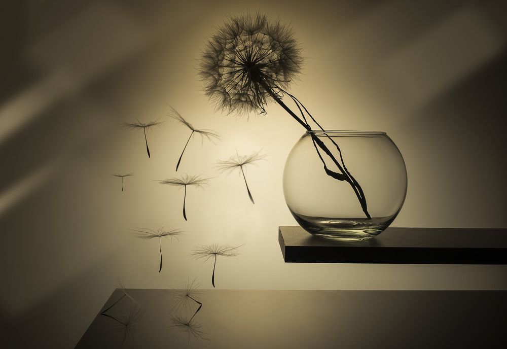 Photograph by Евгений Попов