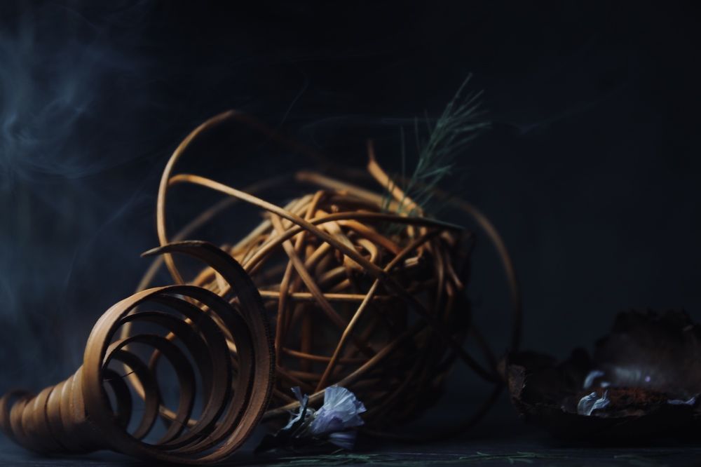 Photograph by Alina Kochneva