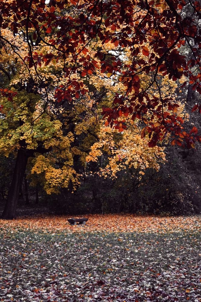 Photograph by Ирина Шпак