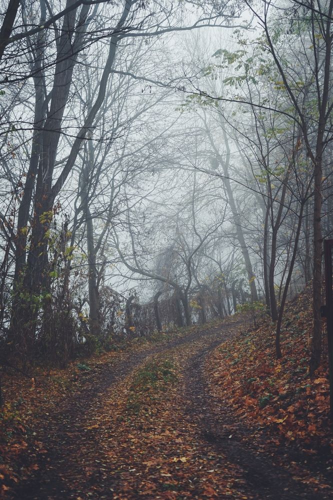 Photograph by Ирина Шпак