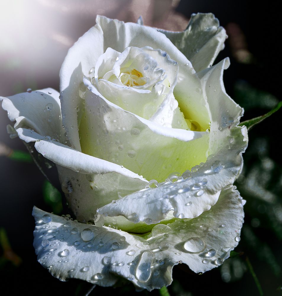 Photograph by Виктор Холодов