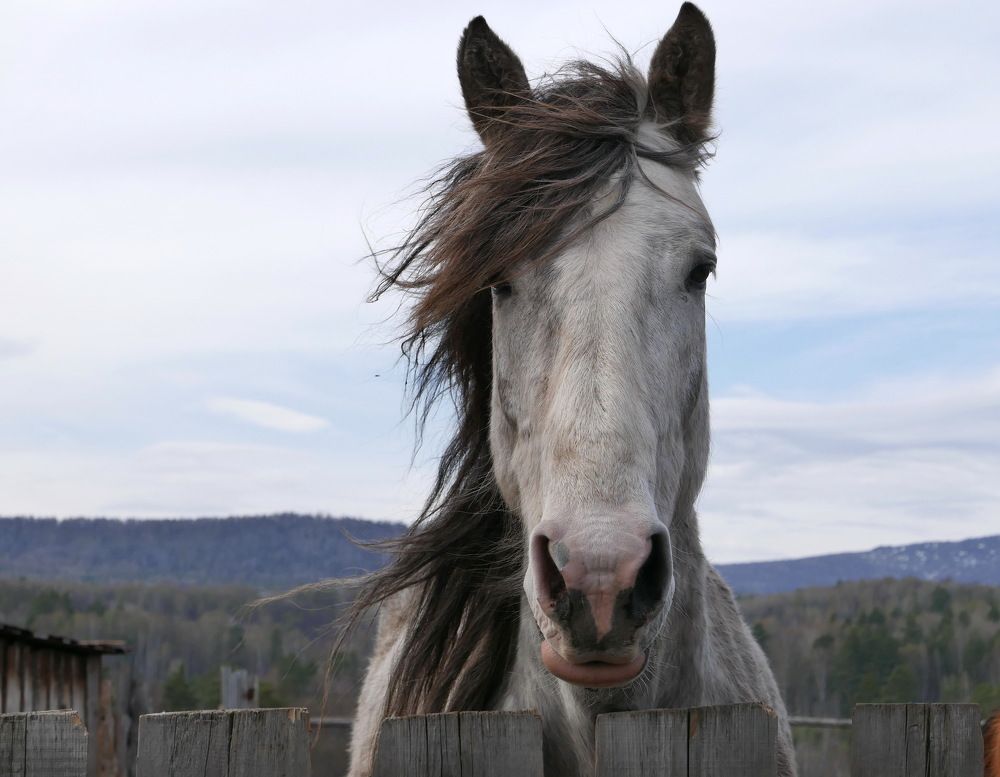 Photograph by Юрий Сычев