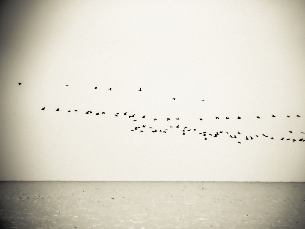 Photograph by Юрий Сычев