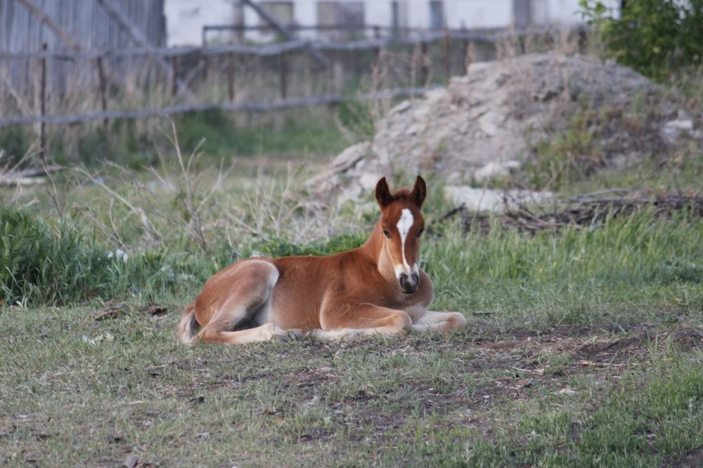Photograph by Абрам Петерс