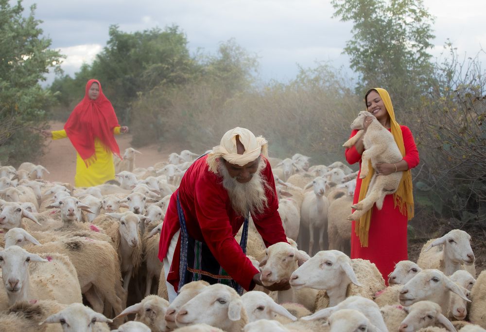 Grandchildren and sheep