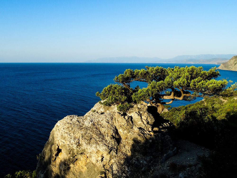 Photograph by Артём Таначёв