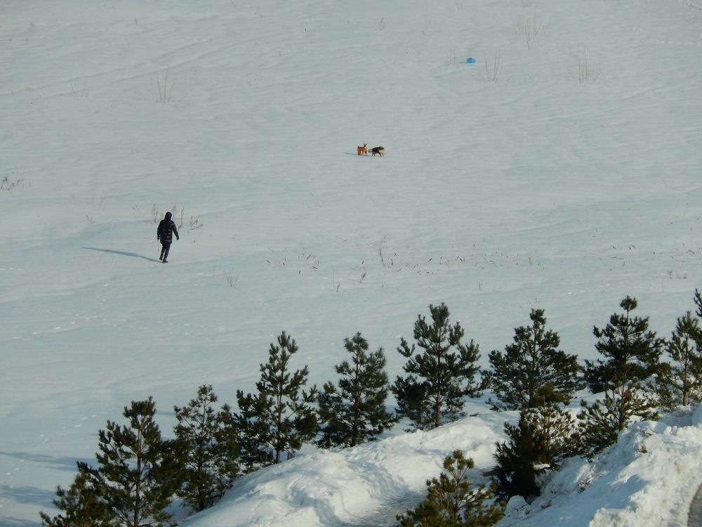 Фотография автора Клавдия Васильева