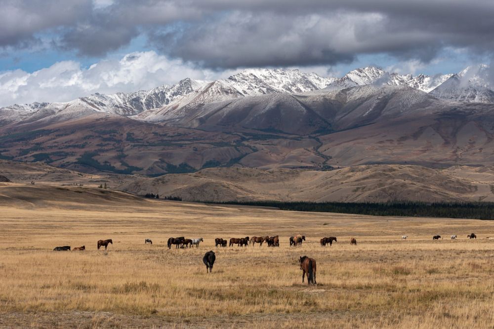 Photograph by Максим Ватрушкин