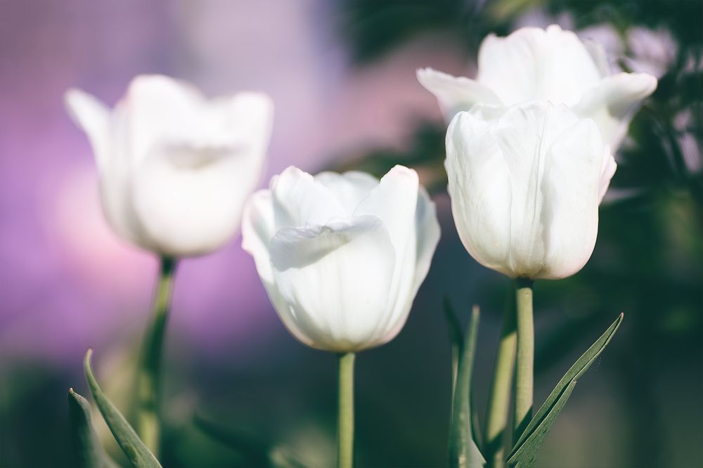 Photograph by Светлана Гущина