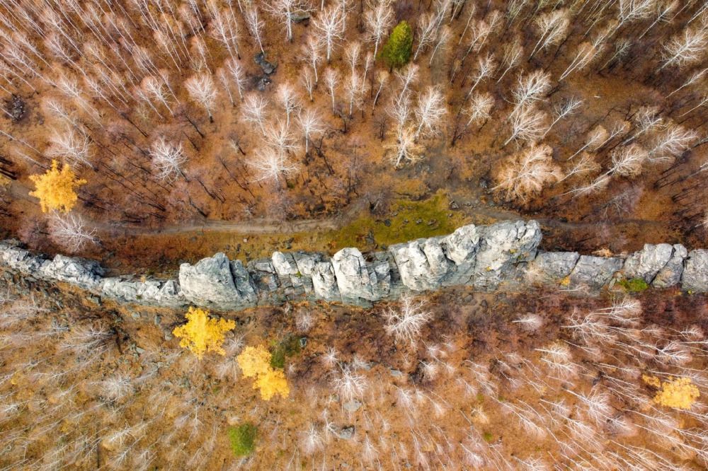 Photograph by Максим Ватрушкин